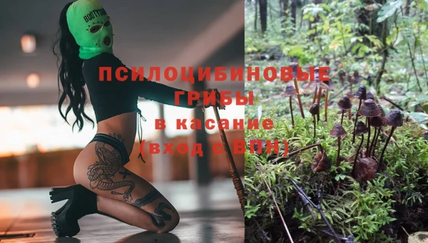 соль курить ск Михайловск