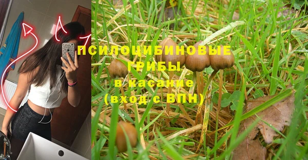 марки nbome Михайлов