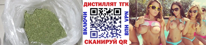 OMG tor  Мензелинск  Дистиллят ТГК Wax 
